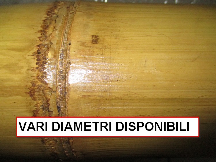 C/400 CANNA BAMBU CALIBRATA METRI 4 DIAMETRO CM 8 - Clicca l'immagine per chiudere